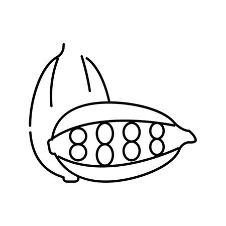 cardamom aromatherapy line icon vector isolated illustrationのイラスト素材