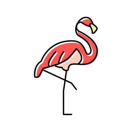 flamingo bird in zoo color icon vector illustrationのイラスト素材