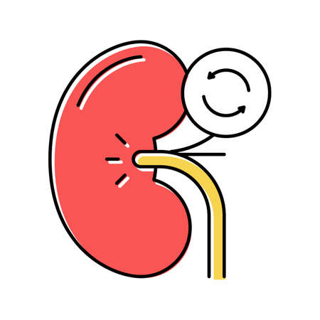 kidney transplant color icon vector illustrationのイラスト素材