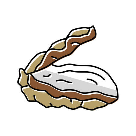 oyster opened shell color icon vector illustrationのイラスト素材