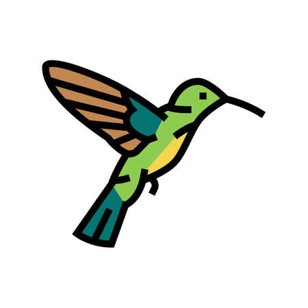 colibri bird color icon vector. colibri bird sign. isolated symbol illustrationのイラスト素材