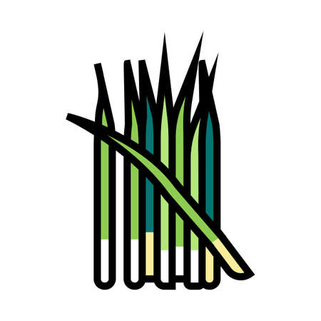 green growing onion color icon vector. green growing onion sign. isolated symbol illustrationのイラスト素材