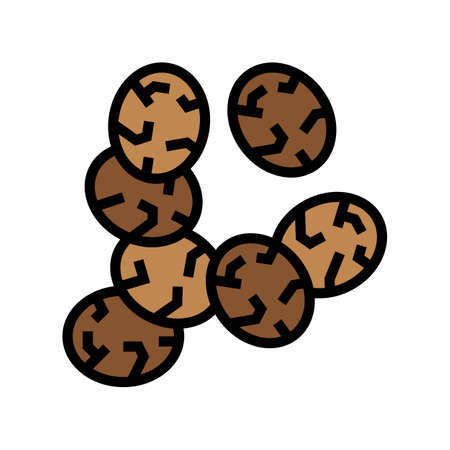 chia seed color icon vector. chia seed sign. isolated symbol illustrationのイラスト素材
