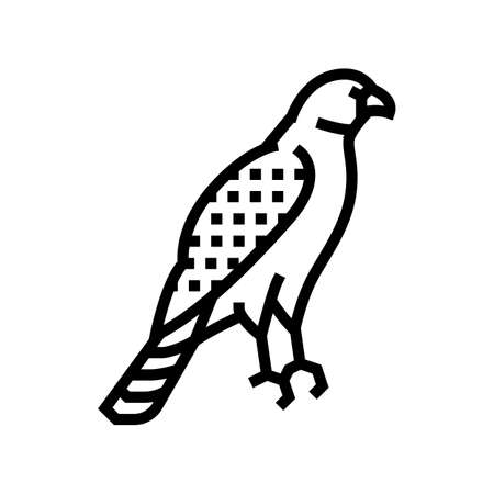 hawk bird line icon vector. hawk bird sign. isolated contour symbol black illustrationのイラスト素材