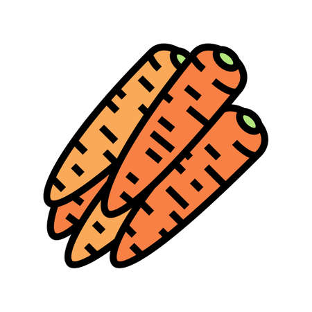 bunch carrot color icon vector. bunch carrot sign. isolated symbol illustrationのイラスト素材