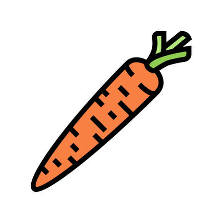 carrot vegetable color icon vector. carrot vegetable sign. isolated symbol illustrationのイラスト素材
