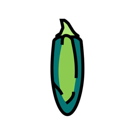 jalapeno pepper color icon vector. jalapeno pepper sign. isolated symbol illustrationのイラスト素材