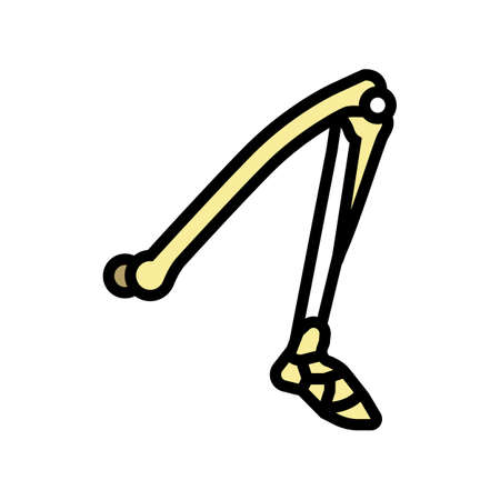leg bone color icon vector. leg bone sign. isolated symbol illustrationのイラスト素材
