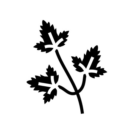 coriander leaves glyph icon vector. coriander leaves sign. isolated contour symbol black illustrationのイラスト素材