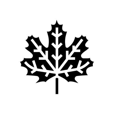 maple leaf glyph icon vector. maple leaf sign. isolated symbol illustrationのイラスト素材
