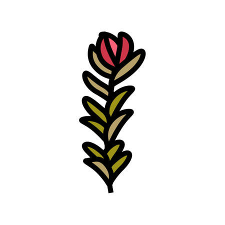 rotala rotundifolia seaweed color icon vector. rotala rotundifolia seaweed sign. isolated symbol illustrationのイラスト素材