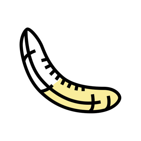 banana peeled color icon vector. banana peeled sign. isolated symbol illustrationのイラスト素材