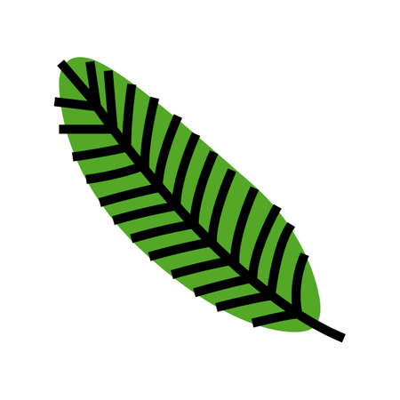 leaf coconut coco color icon vector. leaf coconut coco sign. isolated symbol illustrationのイラスト素材