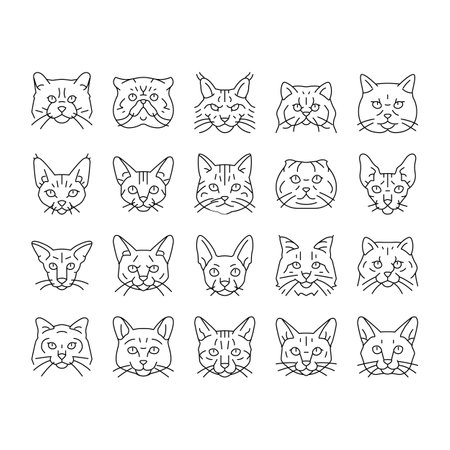 cat cute pet animal kitten funny icons set vector. kitty happy character, face portrait, fun silhouette, head mew, young pretty fluffy cat cute pet animal kitten funny black contour illustrationsのイラスト素材