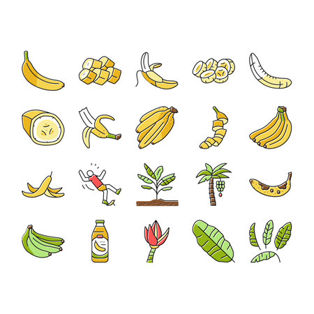 banana fruit food yellow white icons set vector. peel bunch, ripe fresh sweet, tropical healthy, green organic raw snack slice, delicious banana fruit food yellow white color line illustrationsのイラスト素材