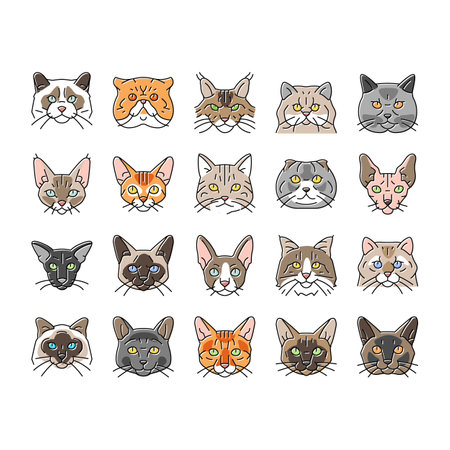 cat cute pet animal kitten funny icons set vector. kitty happy character, face portrait, fun silhouette, head mew, young pretty fluffy cat cute pet animal kitten funny color line illustrationsのイラスト素材