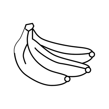 green banana line icon vector. green banana sign. isolated contour symbol black illustrationのイラスト素材