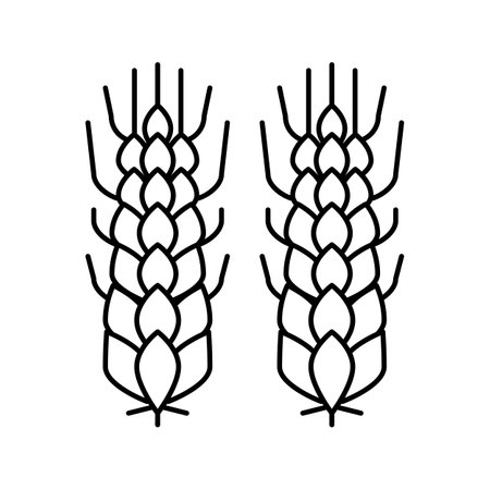 wheat beer drink line icon vector. wheat beer drink sign. isolated contour symbol black illustrationのイラスト素材