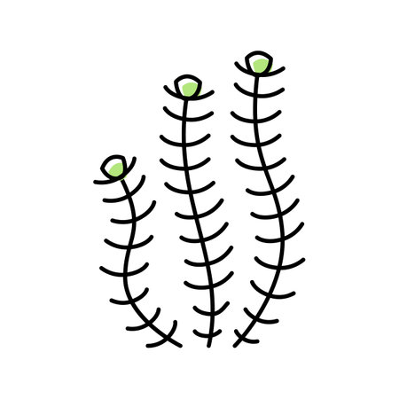hornwort marine seaweed color icon vector. hornwort marine seaweed sign. isolated symbol illustrationのイラスト素材