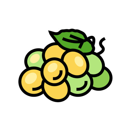 green grape wine color icon vector. green grape wine sign. isolated symbol illustrationのイラスト素材