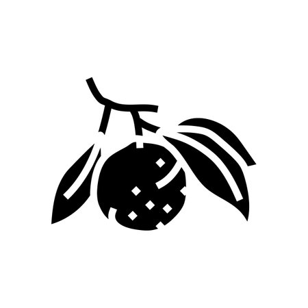 orange branch leaf glyph icon vector. orange branch leaf sign. isolated symbol illustrationのイラスト素材