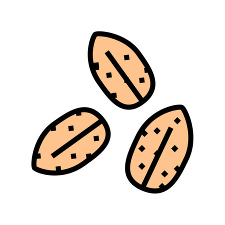 barley grain peeled color icon vector. barley grain peeled sign. isolated symbol illustrationのイラスト素材