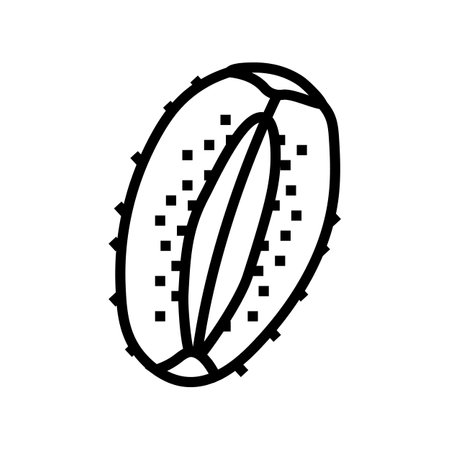 cut fruit kiwi line icon vector. cut fruit kiwi sign. isolated contour symbol black illustrationのイラスト素材