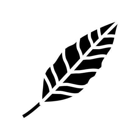stelizia tropical leaf glyph icon vector. stelizia tropical leaf sign. isolated symbol illustrationのイラスト素材