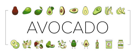 avocado food green half icons set vector. vegetable slice fresh, healthy organic seed, tropical cut...