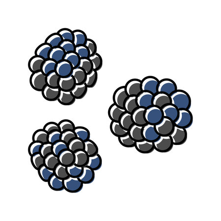 juicy berry blackberry color icon vector. juicy berry blackberry sign. isolated symbol illustrationのイラスト素材