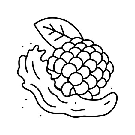 delicious blackberry line icon vector. delicious blackberry sign. isolated contour symbol black illustrationのイラスト素材