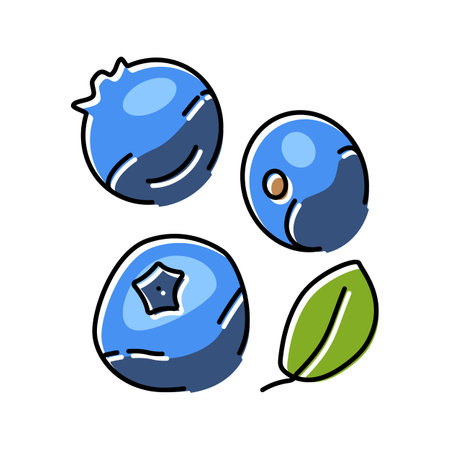 blue blueberry berry color icon vector. blue blueberry berry sign. isolated symbol illustrationのイラスト素材
