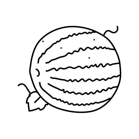 fresh watermelon leaf line icon vector. fresh watermelon leaf sign. isolated contour symbol black illustrationのイラスト素材