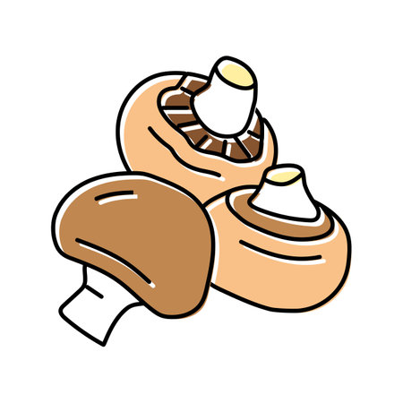 champignon freah mushroom color icon vector. champignon freah mushroom sign. isolated symbol illustrationのイラスト素材