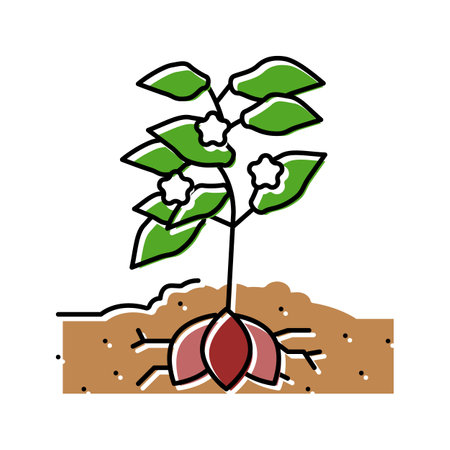 plant sweet potato color icon vector. plant sweet potato sign. isolated symbol illustrationのイラスト素材