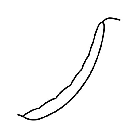 green bean pod line icon vector. green bean pod sign. isolated contour symbol black illustrationのイラスト素材