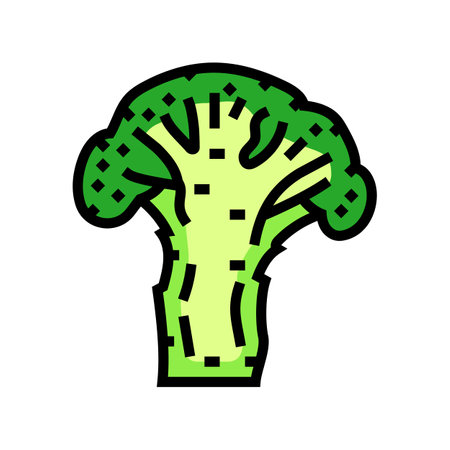 slice broccoli color icon vector. slice broccoli sign. isolated symbol illustrationのイラスト素材