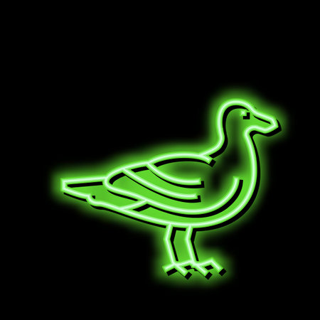 bird ocean neon glow icon illustrationのイラスト素材