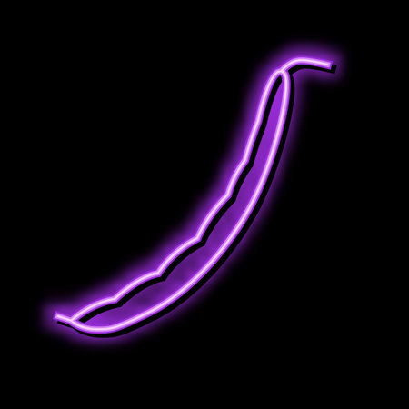 green bean pod color icon vector illustrationのイラスト素材
