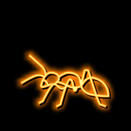 ant insect neon glow icon illustrationのイラスト素材