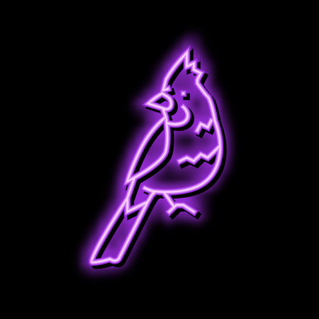 northern cardinal bird exotic color icon vector illustrationのイラスト素材