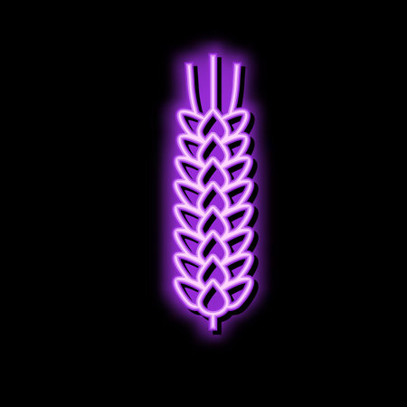 ear barley cereal color icon vector illustrationのイラスト素材