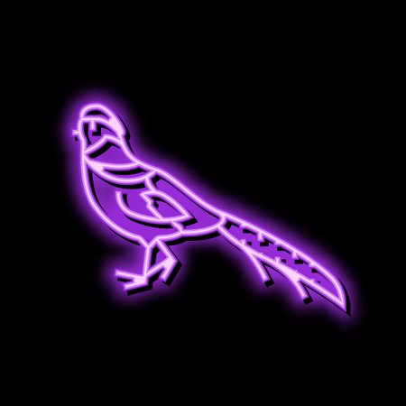 golden pheasant bird exotic color icon vector illustrationのイラスト素材