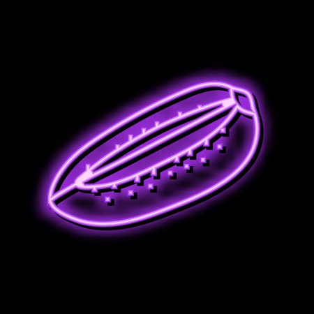 cut green kiwi color icon vector illustrationのイラスト素材