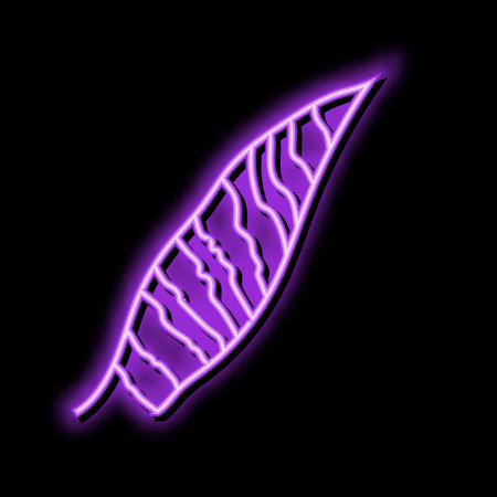 sansevieria leaf tropical color icon vector illustrationのイラスト素材