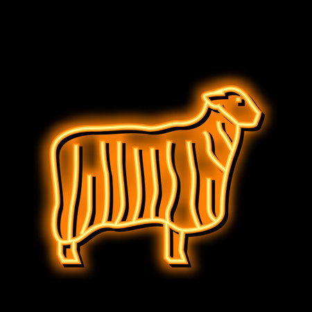 13 teeswater sheep neon glow icon illustrationのイラスト素材