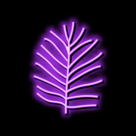chamaedorea tropical leaf color icon vector illustrationのイラスト素材