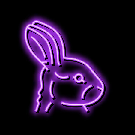 rabbit animal zoo neon glow icon illustrationのイラスト素材