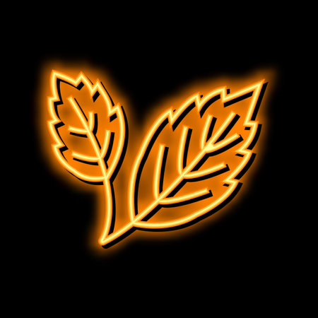 autumn leaf neon glow icon illustrationのイラスト素材