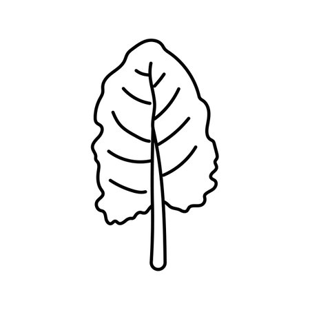 beet greens salad food line icon vector illustrationのイラスト素材